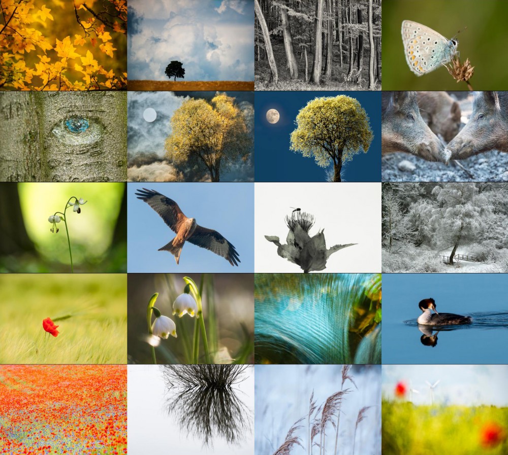 Natur entdecken mit Fotos von Jürgen Bender