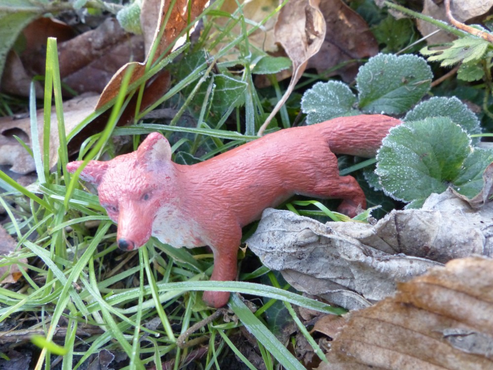 Der Natur auf der Spur - Hardehausen entdecken