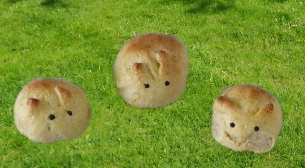 Die Osterhasen-Brötchen sind leicht zu backen und schmecken klein und groß.