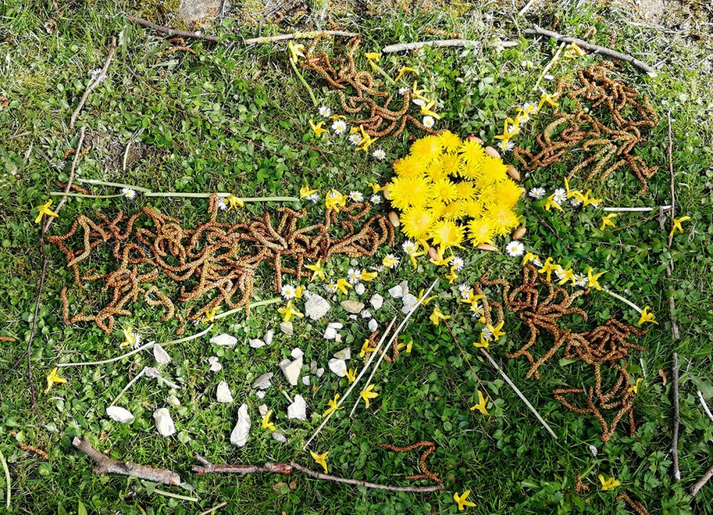 Der Frühling weckt Hoffnung und Lebensgeister. Der Frühling weckt Hoffnung und Lebensgeister.