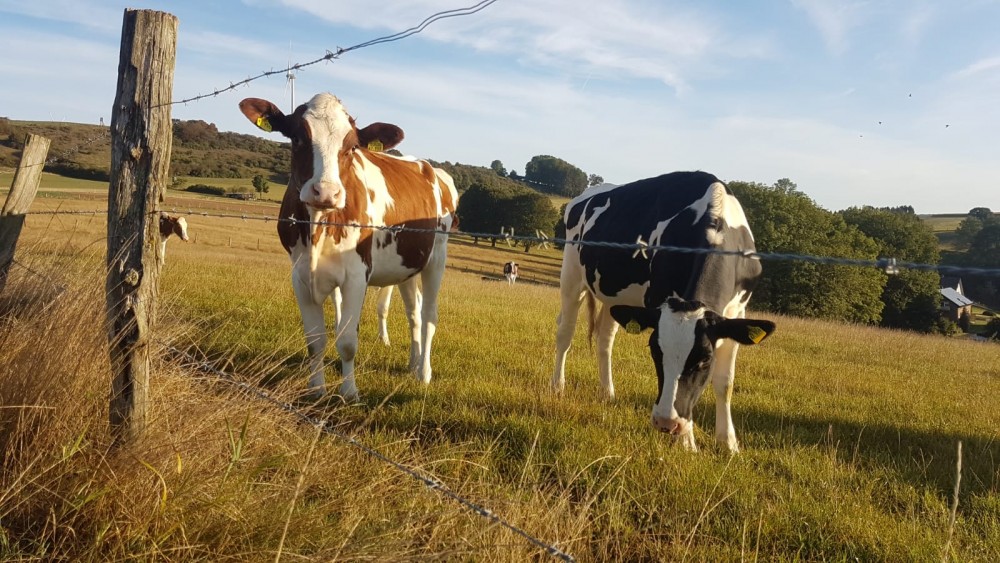 Landwirtschaft entdecken und kennenlernen