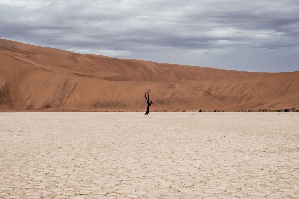 Wüste: trocken, scheinbar leer, macht einsam