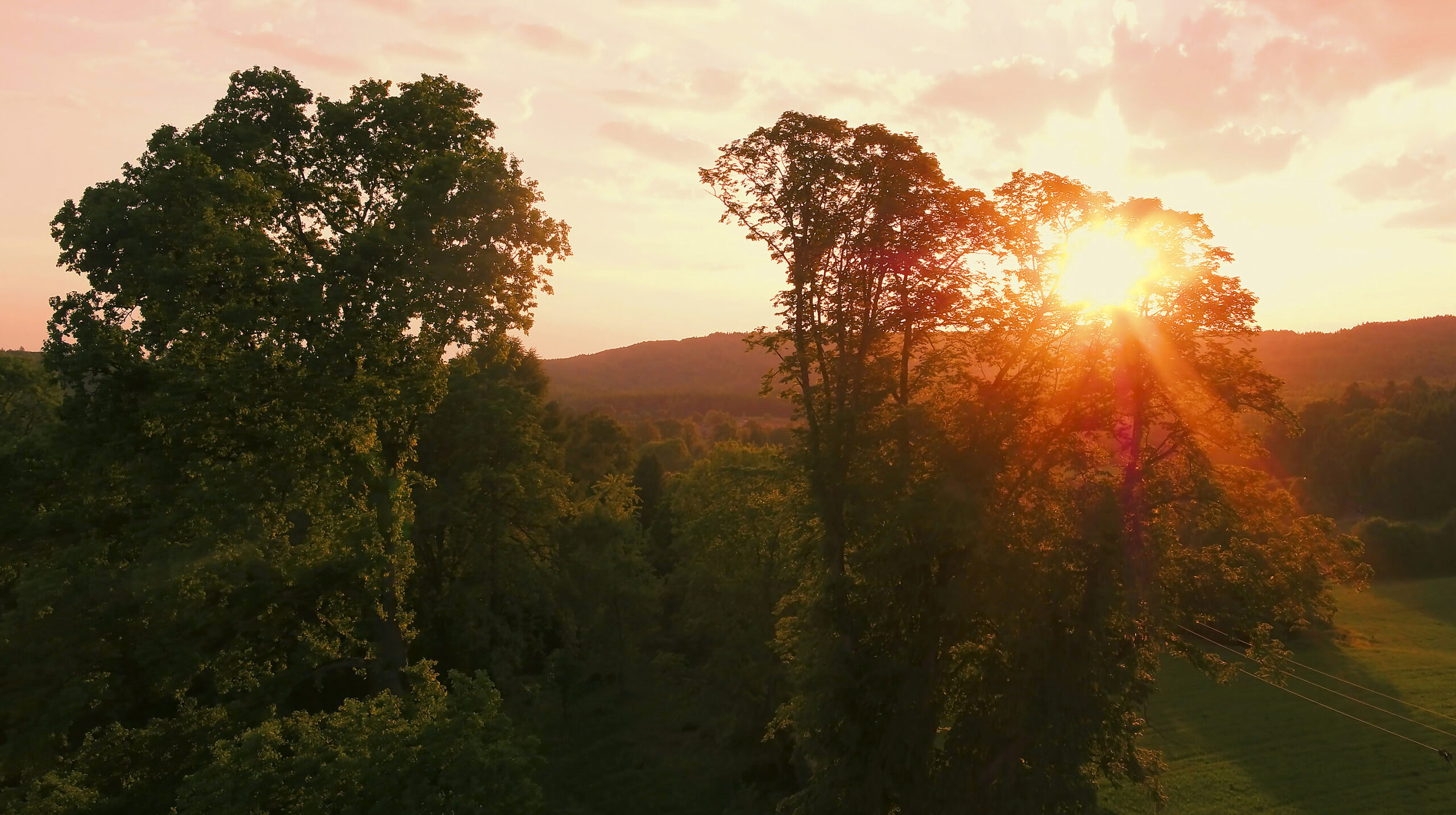 Sonnenuntergang über einer grünen Waldlandschaft mit hohen Bäumen, durch deren Blätter die Sonne golden hindurchscheint. Im Hintergrund sind sanfte Hügel unter einem orange-rosa gefärbten Himmel zu sehen.